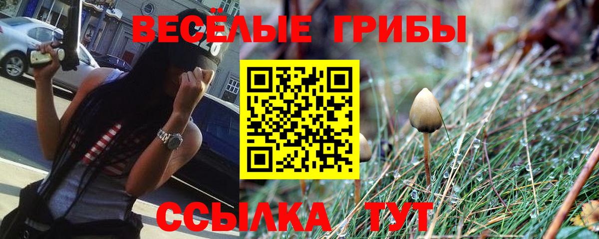 Псилоцибиновые грибы Psilocybe  Вход с VPN  Сокол 
