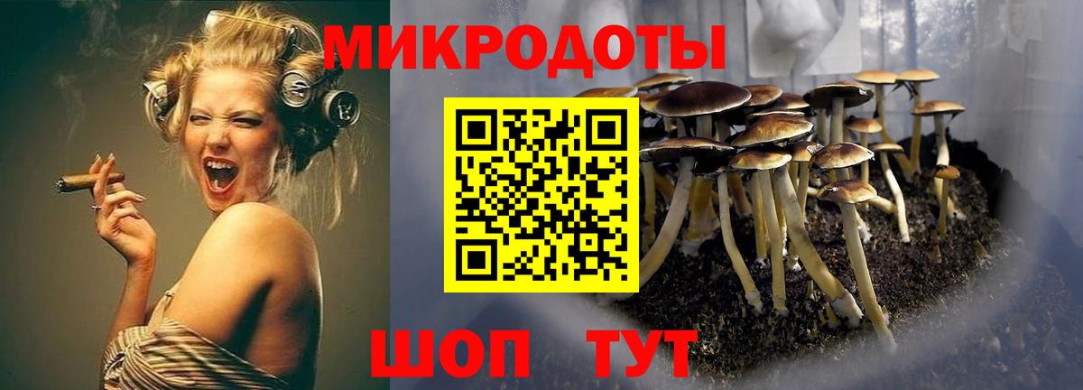 Галлюциногенные грибы Cubensis Сокол